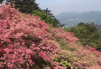 龟峰山景区第 44 张图片