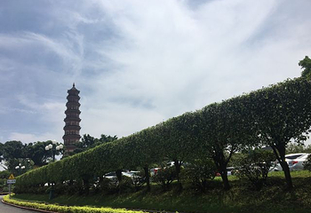 莲花山旅游区第 41 张图片