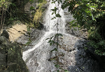 九龙湖旅游区第 21 张图片