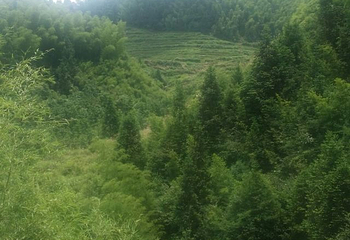 龙穿峡景区第 43 张图片
