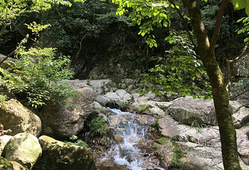 太湖源第 39 张图片