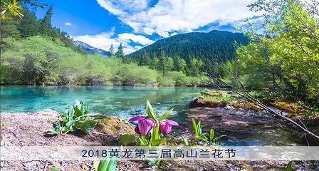 黄龙风景名胜区第 7 张图片