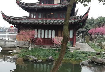 月湖公园第 73 张图片