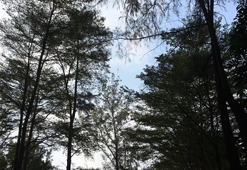 笔架山公园第 17 张图片