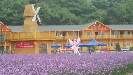 筋竹涧农业观光园第 30 张图片