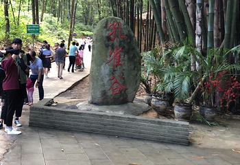 孔雀谷第 31 张图片