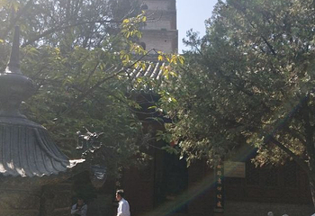 普救寺第 63 张图片