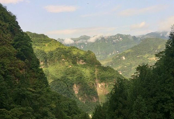 黄连河风景区第 24 张图片