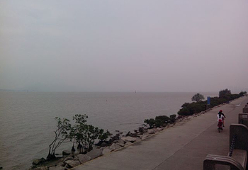 红树林海滨生态公园第 26 张图片