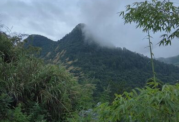 三分石景区第 47 张图片