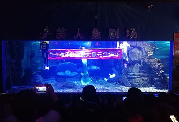 临沂海洋世界主题公园第 27 张图片