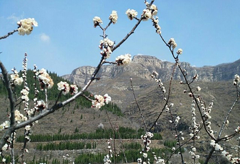 齐山风景区第 35 张图片
