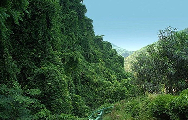 凤鸣山风景区第 3 张图片