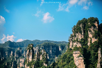 天子山风景区第 73 张图片
