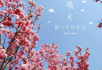 天适樱花悠乐园第 64 张图片