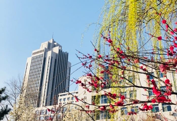 山东大学第 3 张图片