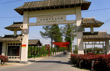 大圩生态旅游景区第 8 张图片