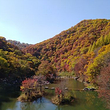 筐子沟生态风景区