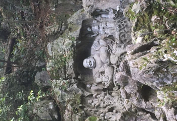 南山路第 21 张图片