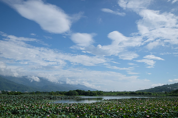 大坡池第 10 张图片