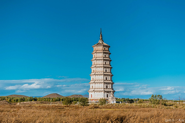 释迦佛舍利塔第 18 张图片