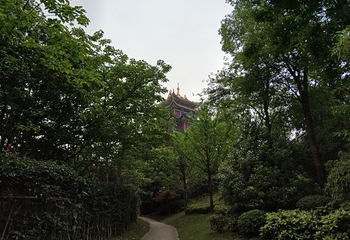 鸿恩寺公园第 20 张图片