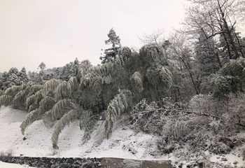大明山万松岭滑雪场第 54 张图片
