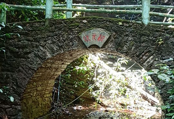 都峤山森林公园第 28 张图片