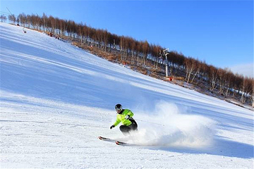 豫龙滑雪场第 11 张图片