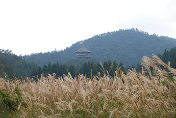 龙泉山旅游区第 62 张图片
