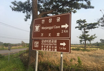 迷宫主题公园第 23 张图片