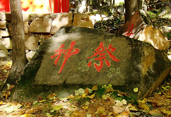 将军山原始森林景区第 7 张图片
