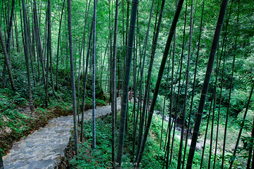 黄沙秘境大峡谷景区第 6 张图片