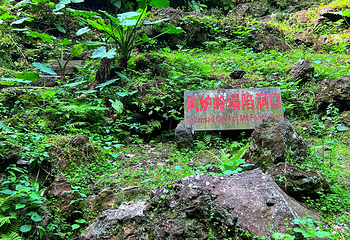 雷琼海口火山群世界地质公园第 101 张图片