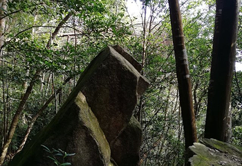 上金贝旅游景区第 20 张图片