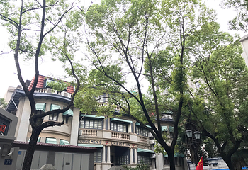 黎黄陂路博物馆第 6 张图片