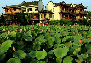 芙蓉镇第 4 张图片