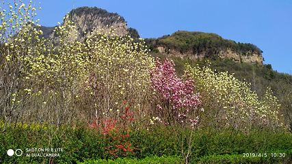 蟒河生态旅游区第 53 张图片