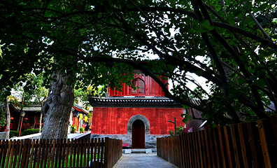 大觉寺第 30 张图片