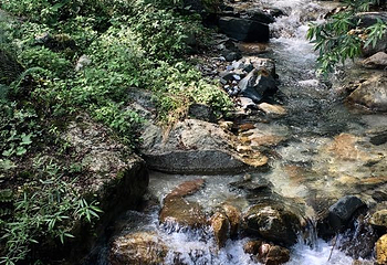 农夫山泉峨眉山工业旅游示范基地第 15 张图片