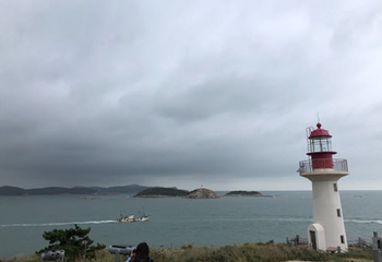 万鸟岛景区第 13 张图片