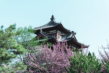 青龙寺第 80 张图片