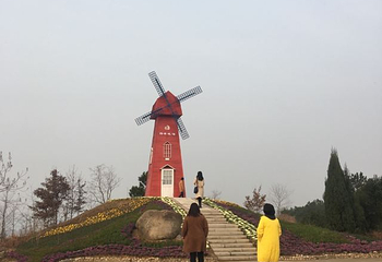 英山四季花海景区第 74 张图片