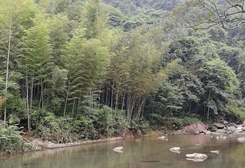 千泷沟大瀑布第 31 张图片