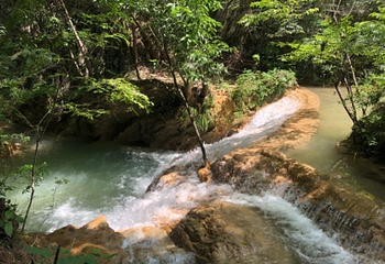 香水河第 36 张图片