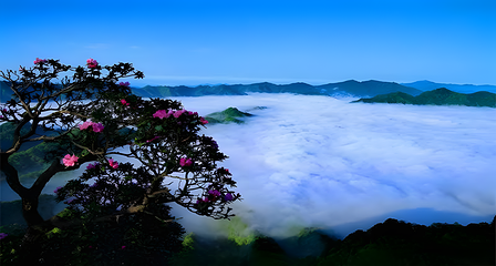 汉中龙头山国际旅游度假区第 105 张图片