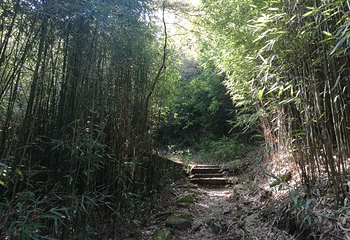司空山第 2 张图片