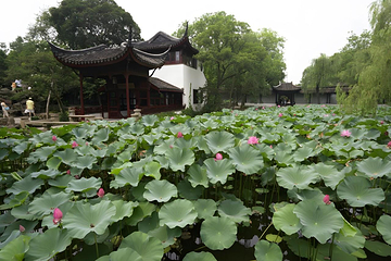 拙政园第 3 张图片