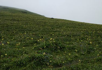 九鼎山第 37 张图片