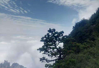白石山大剧院第 28 张图片